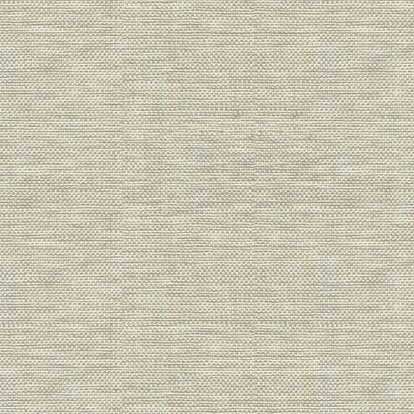 Sample 30299.106 Kravet Basics Fabric