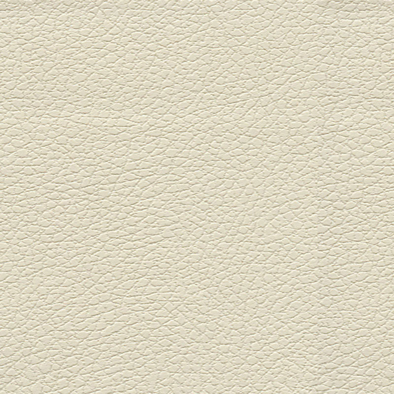 Acquire 303by3019 Brisa Birch by Schumacher Fabric