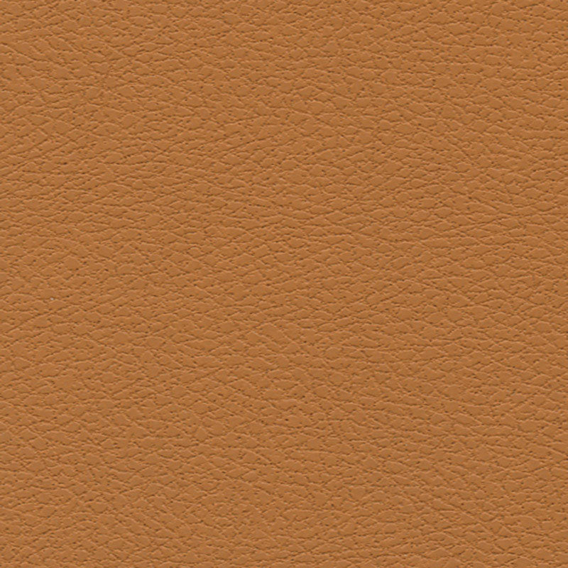 Looking 303by3823 Brisa Aztec by Schumacher Fabric