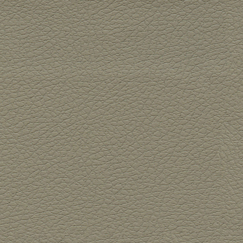 Purchase 303by3915 Brisa Fedora by Schumacher Fabric