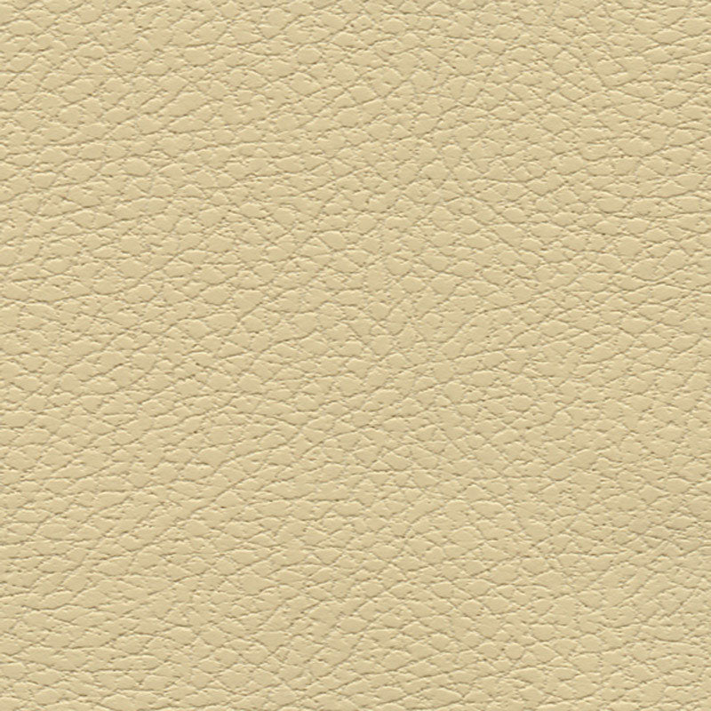 Looking 303by3960 Brisa Camel by Schumacher Fabric