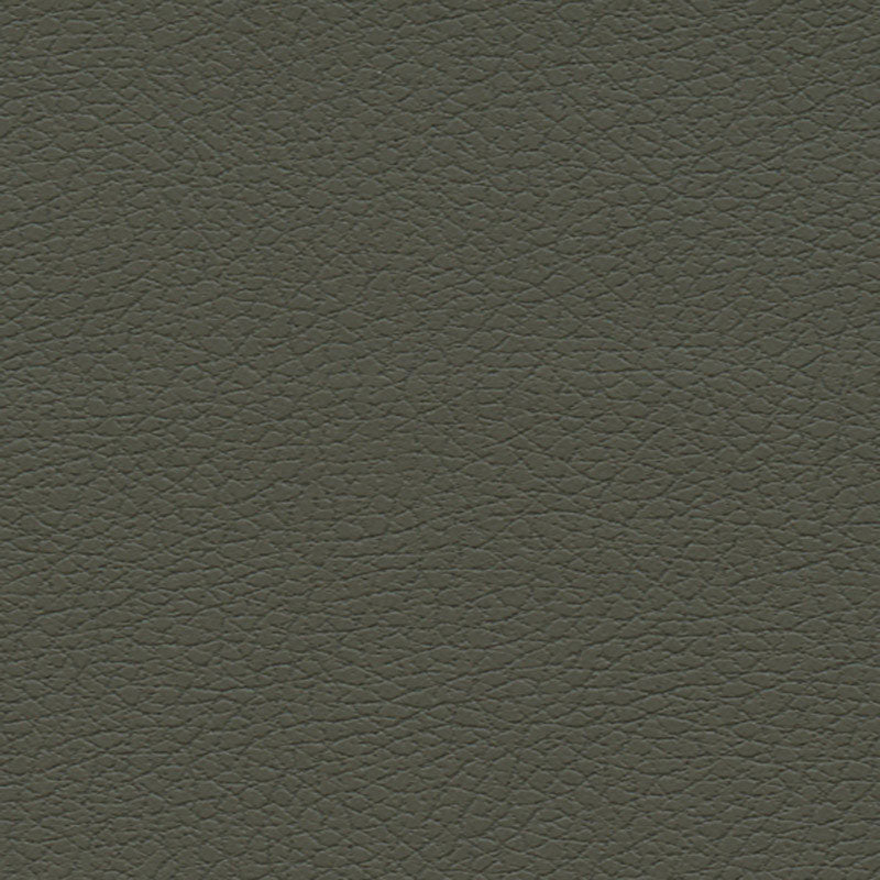 View 303by4488 Brisa Olive by Schumacher Fabric