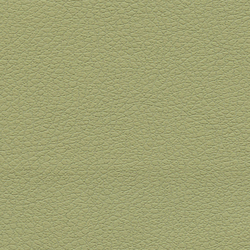 Order 303by4510 Brisa Celery by Schumacher Fabric