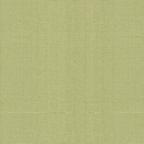Sample 30421.23 Kravet Basics Fabric