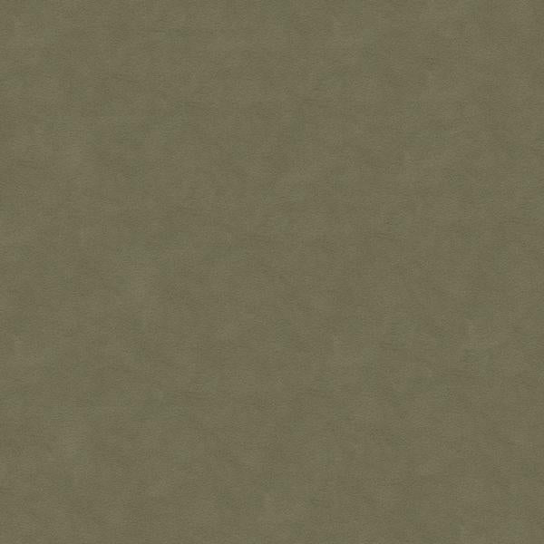 Order 30787.1121.0 Ultrasuede Green Flannel Solids/Plain Cloth Brown by Kravet Design Fabric