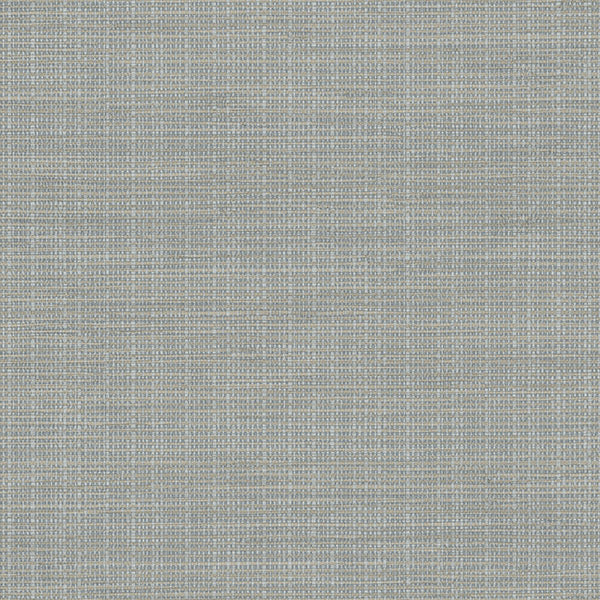 Purchase 3118-016913 Birch and Sparrow, Kent Grasscloth by Chesapeake Wallpaper