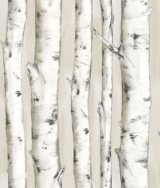 Purchase 3118-12601 Birch and Sparrow, Pioneer Birch Tree by Chesapeake Wallpaper