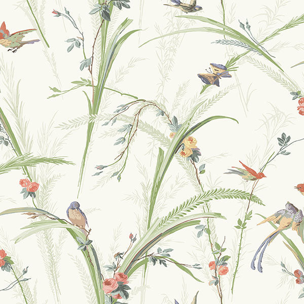 Purchase 3119-19321 Kindred, Meadowlark Light Green Botanical by Chesapeake Wallpaper