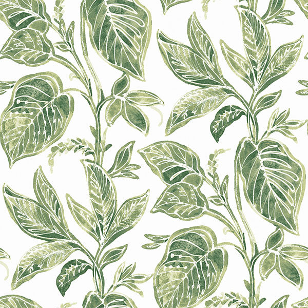 Purchase 3120-13621 Sanibel, Mangrove Green Botanical by Chesapeake Wallpaper