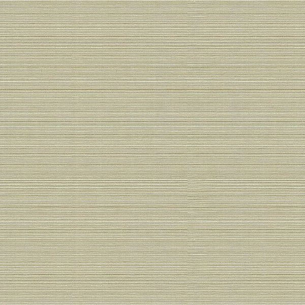 Sample 32497.16 Kravet Basics Fabric