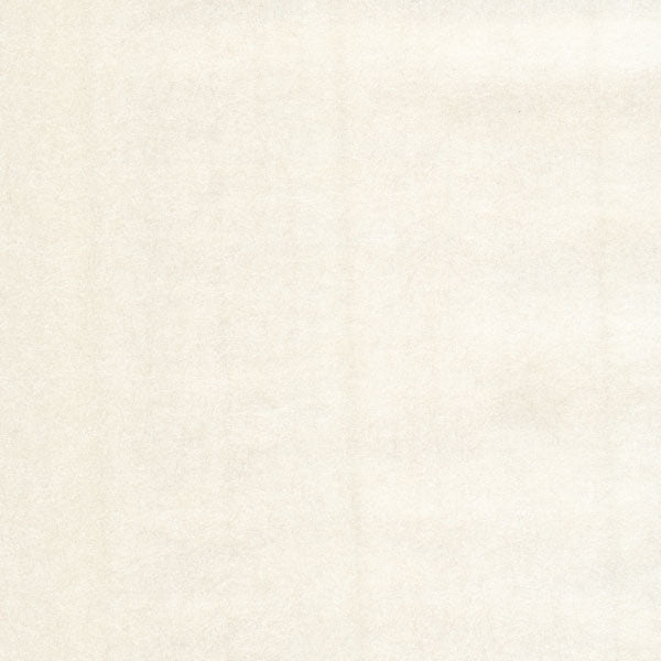 Purchase 330259 Ibiza Champagne Textured Eijffinger