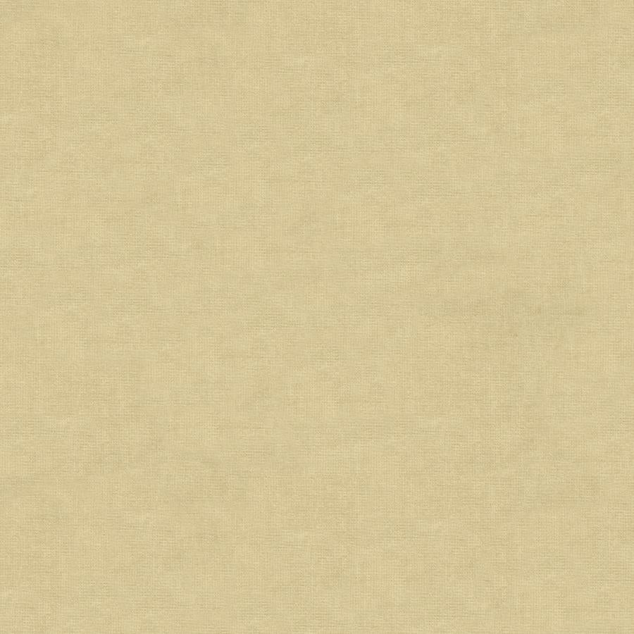 Sample 8013150-1111 Charmant Velvet Ecru Solid Brunschwig and Fils Fabric
