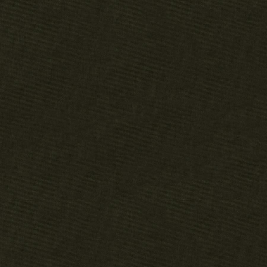 Order 8013150-21 Charmant Velvet Coal Solid by Brunschwig & Fils Fabric