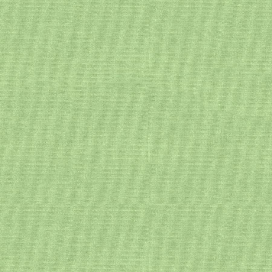 Looking 8013150-23 Charmant Velvet Celadon Solid by Brunschwig & Fils Fabric