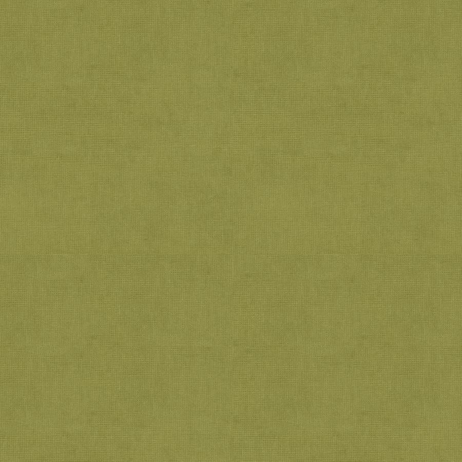Purchase 8013150-303 Charmant Velvet Fern Solid by Brunschwig & Fils Fabric