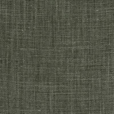 Purchase 37625.311.0 Mendoza Linen, Alfredo Paredes Cocuyo - Kravet Couture Fabric