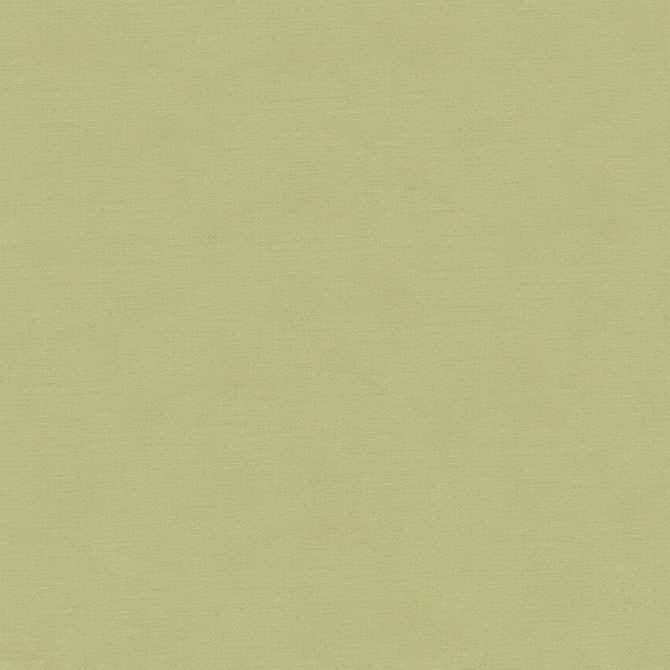 Sample 33886.1110.0 Light Grey Multipurpose Solids Plain Cloth Fabric by Kravet Couture