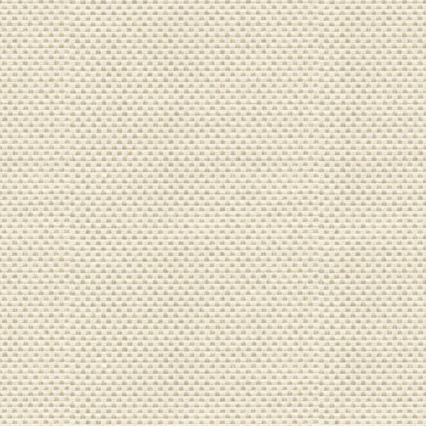 Shop 33887.1.0 Sener Ivory Texture Beige by Kravet Design Fabric