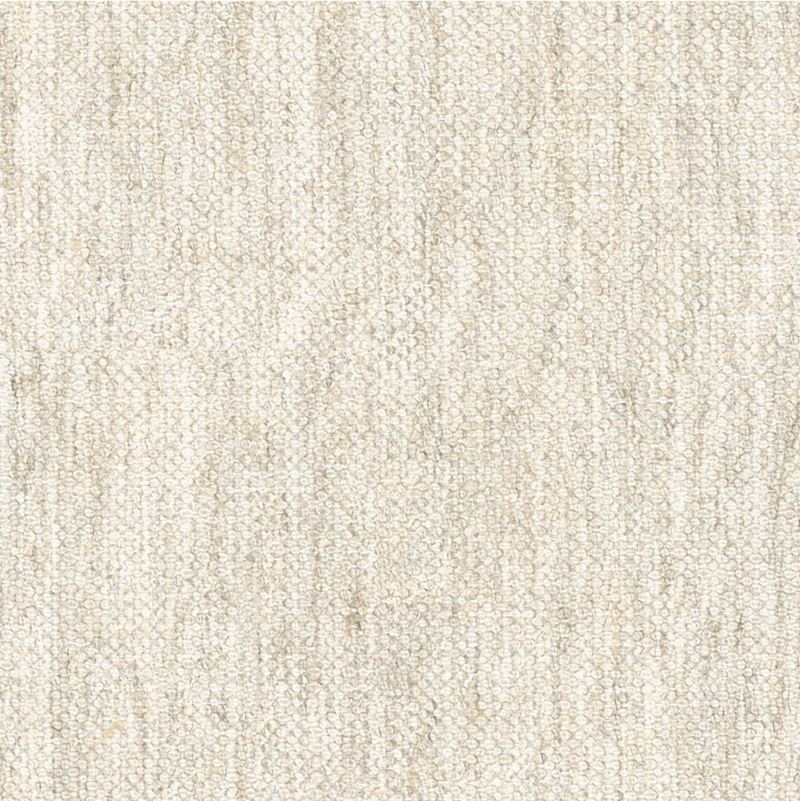Sample 34248.1611.0 Shimerlino Oyster Beige Upholstery Metallic Fabric by Kravet Couture