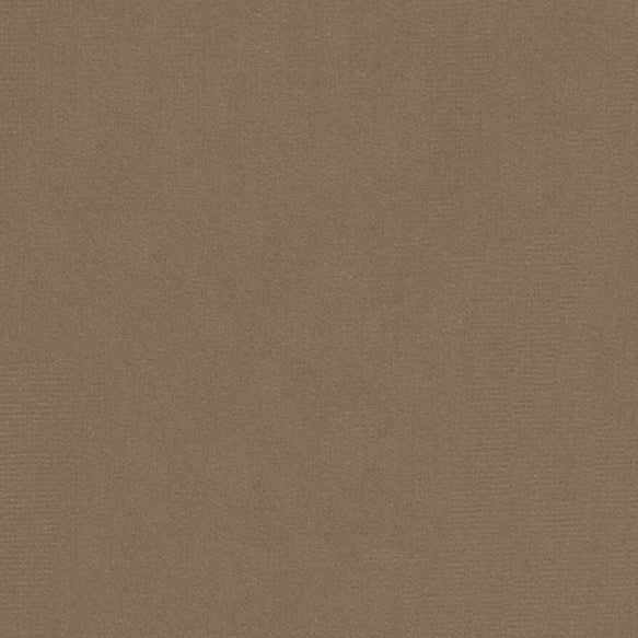 Sample 34328.1611.0 Statuesque Taupe Light Grey Upholstery Solids Plain Cloth Fabric by Kravet Couture