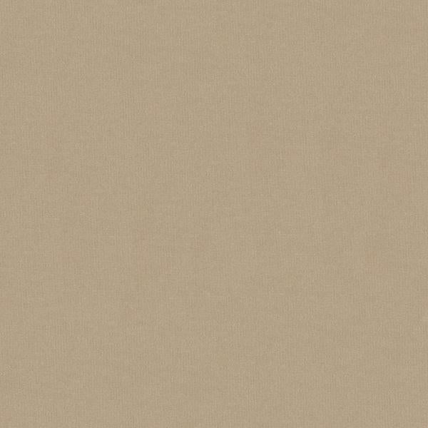 Sample 34328.1101.0 Statuesque Sandstone Light Grey Upholstery Solids Plain Cloth Fabric by Kravet Couture