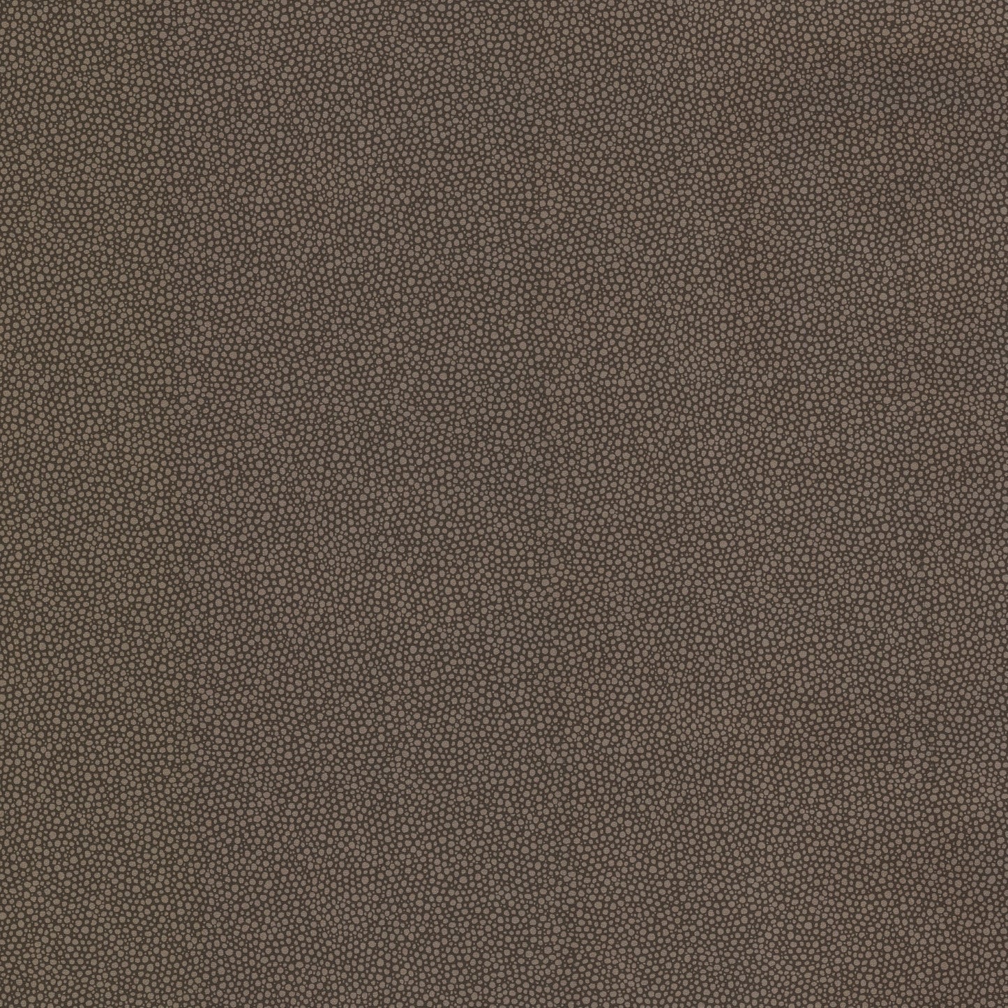 Purchase 347-20025 Kitchen and Bath Resource III Brown Textured Brewster