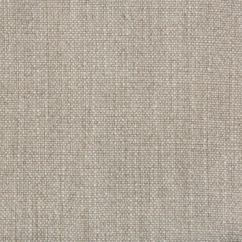 Sample 35189.1006.0 Light Grey Multipurpose Solids Plain Cloth Fabric by Kravet Basics