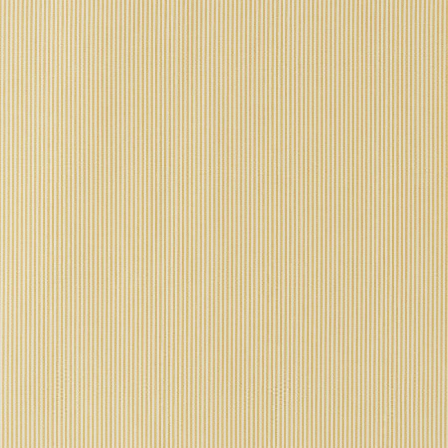 Purchase 35374.4.0 Kravet Basics, Checks, Plaids & Tickings - Kravet Basics Fabric