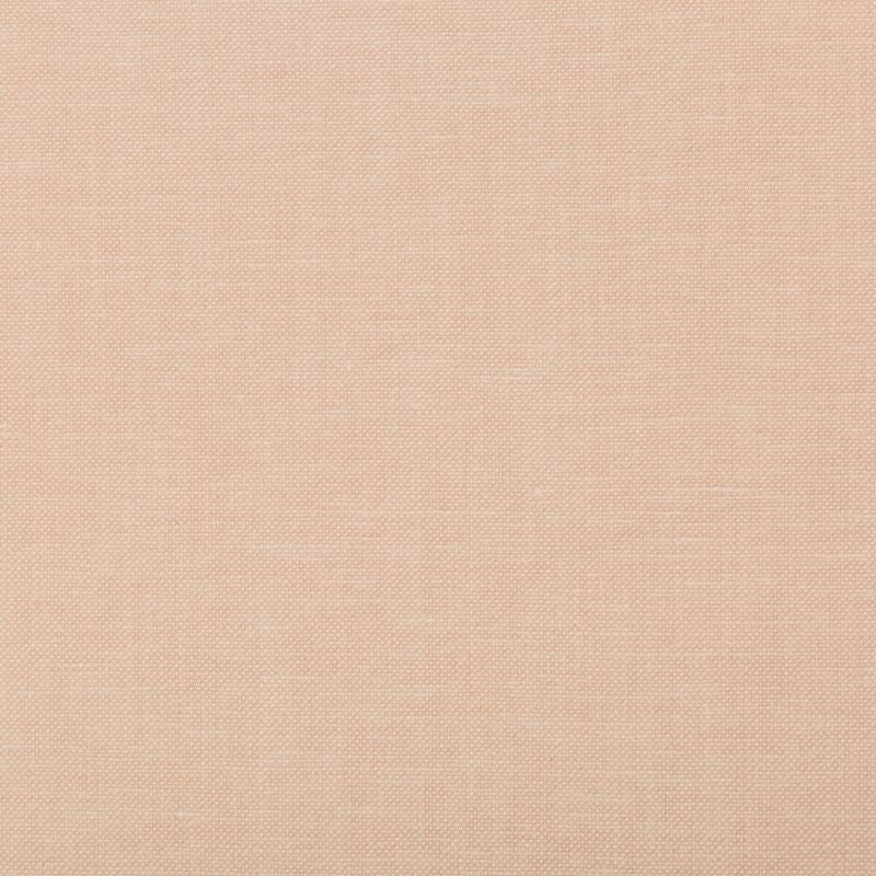 Sample 35543.17.0 Oxfordian Pink Solid Kravet Basics Fabric