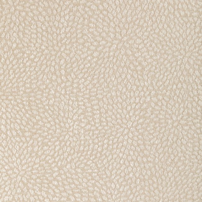 Sample - 35991.16.0 | Kravet Basics, - Kravet Basics Fabric