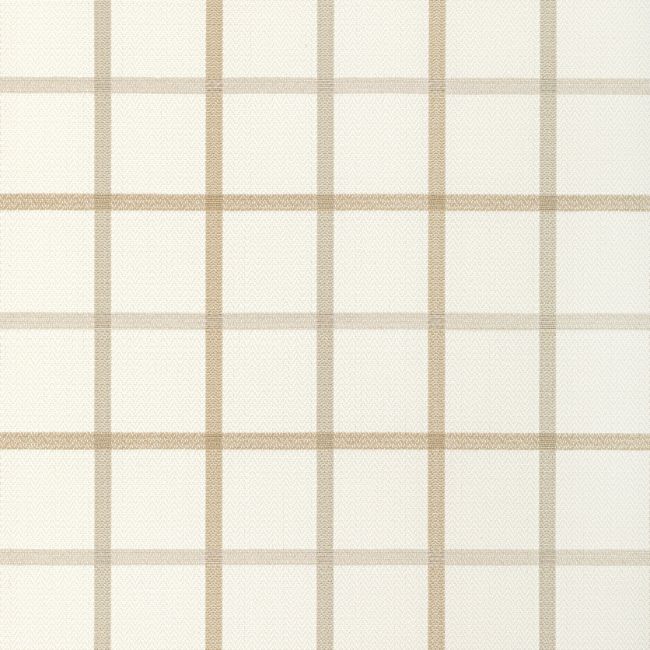 Sample - 36023.16.0 | Kravet Basics, - Kravet Basics Fabric