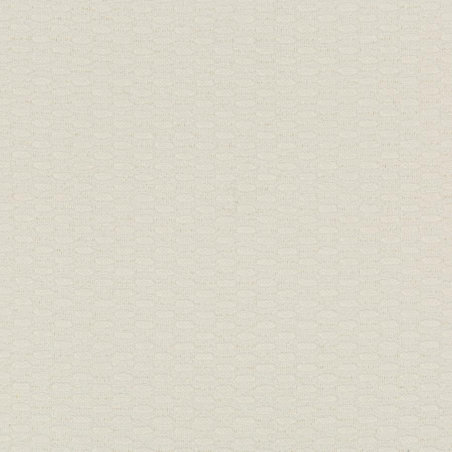 Sample 36078.1.0 KRAVET DESIGN, 36078-1 by Kravet Design Fabric