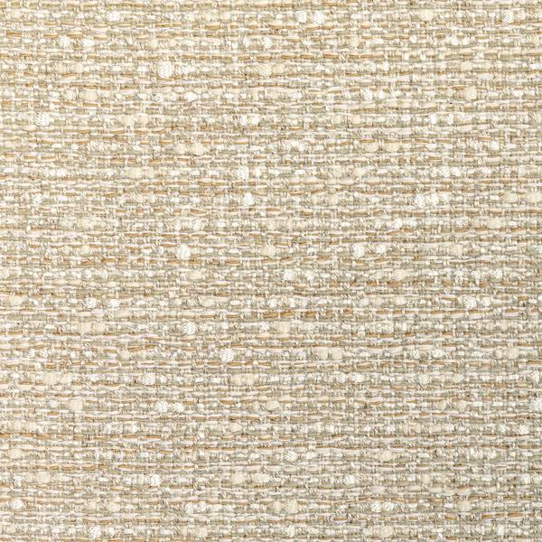 Sample 36104.16.0 Naturalist, White Sand by Kravet Couture Fabric