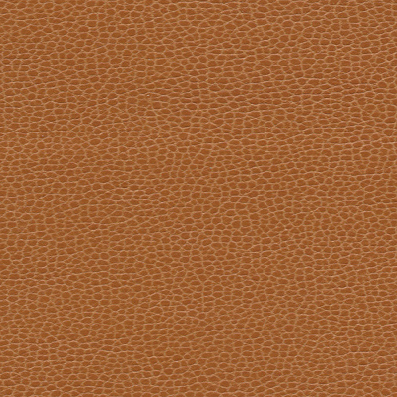 Find 363by3140 Promessa Saddle by Schumacher Fabric