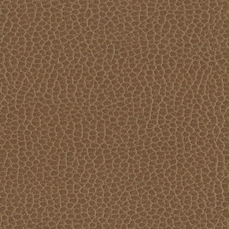 Buy 363by3141 Promessa Fields by Schumacher Fabric