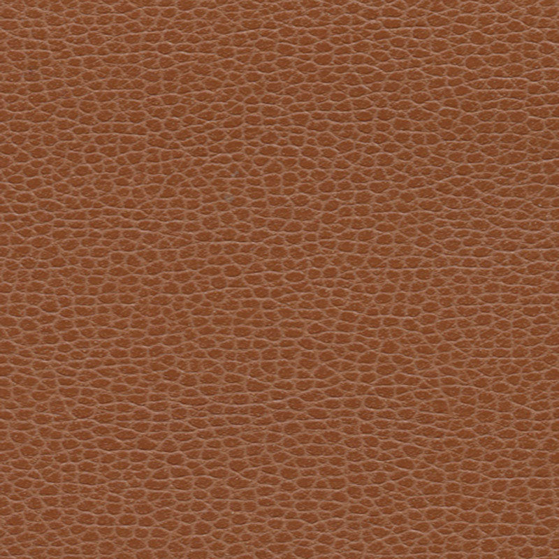 Acquire 363by3144 Promessa Leather by Schumacher Fabric