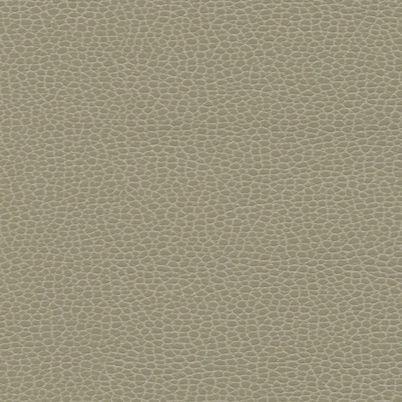 Order 363by3463 Promessa Taupe by Schumacher Fabric