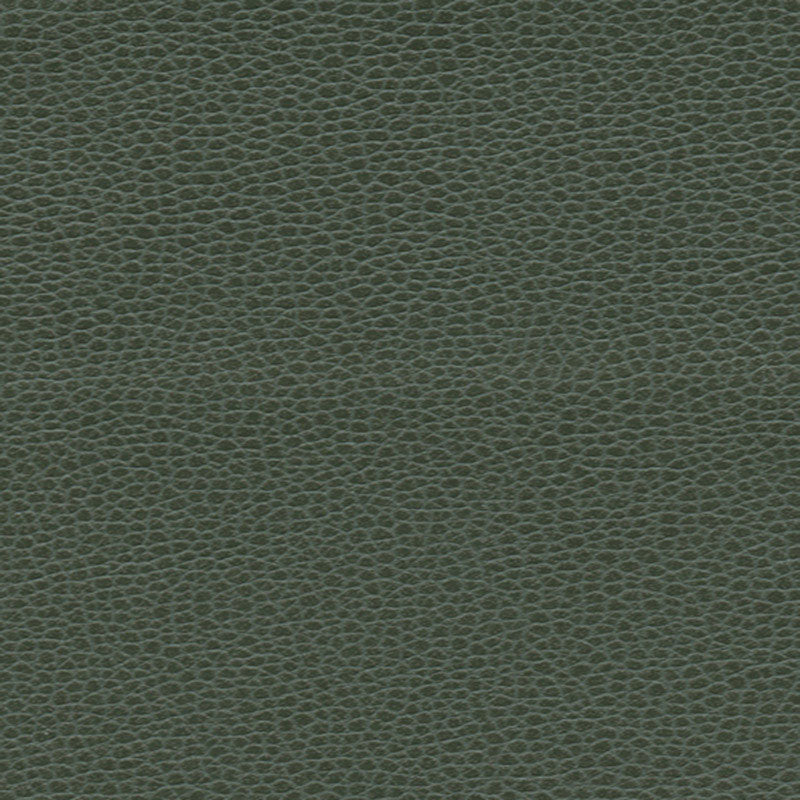 Save 363by4516 Promessa Hunter by Schumacher Fabric