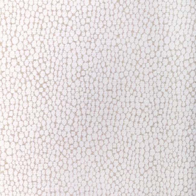 Sample - 36349.101.0 | Starfall, Modern Luxe Iii - Kravet Couture Fabric