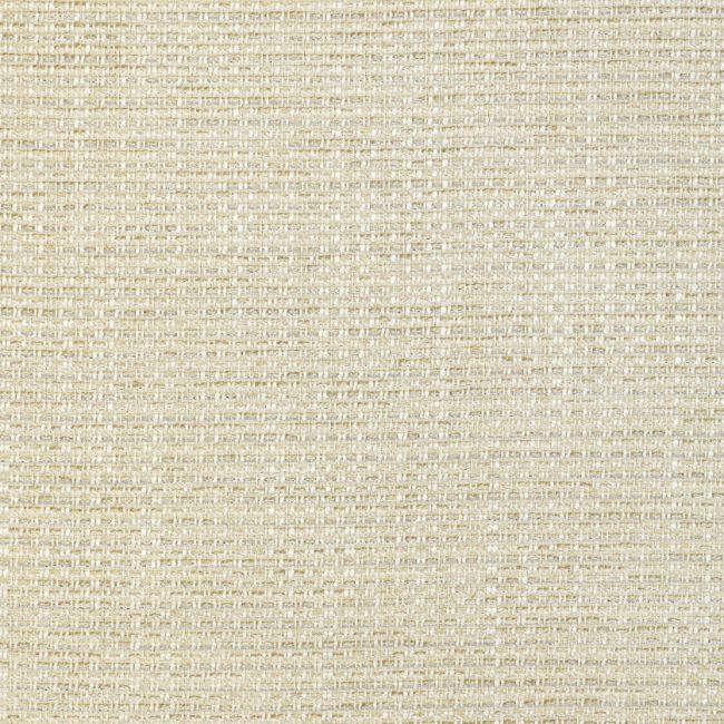 Sample - 36800.16.0 | Metallic Wonder, Candice Olson Collection - Kravet Design Fabric