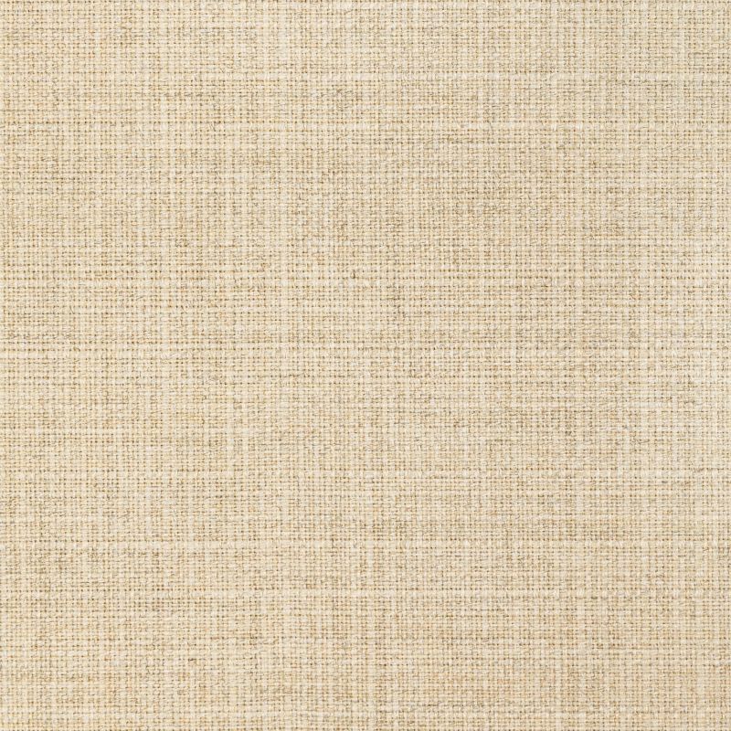 Purchase 36821.16.0 Kravet Basics, Indoor / Outdoor - Kravet Basics Fabric