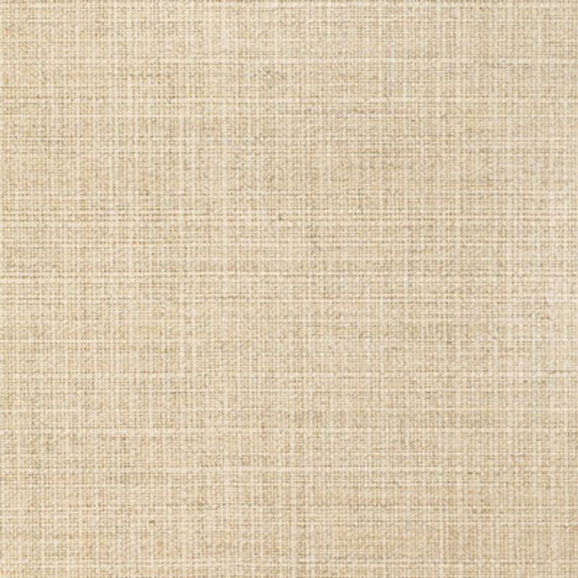 Sample - 36821.16.0 | Kravet Basics, Indoor / Outdoor - Kravet Basics Fabric