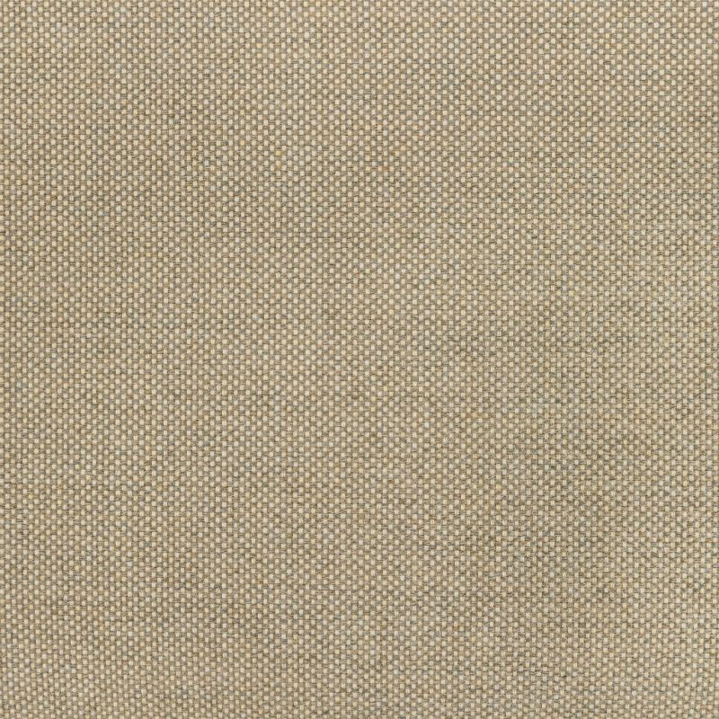 Purchase 36826.116.0 Kravet Basics, Indoor / Outdoor - Kravet Basics Fabric