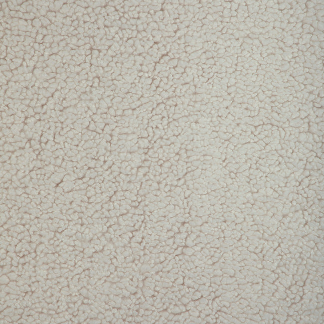 Sample - 36891.1.0 | Kravet Basics, - Kravet Basics Fabric