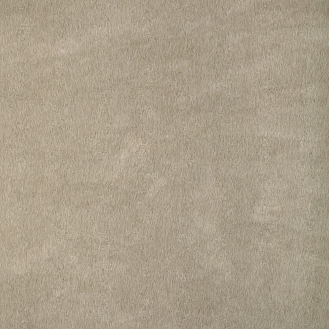 Sample - 36897.16.0 | Kravet Basics, - Kravet Basics Fabric