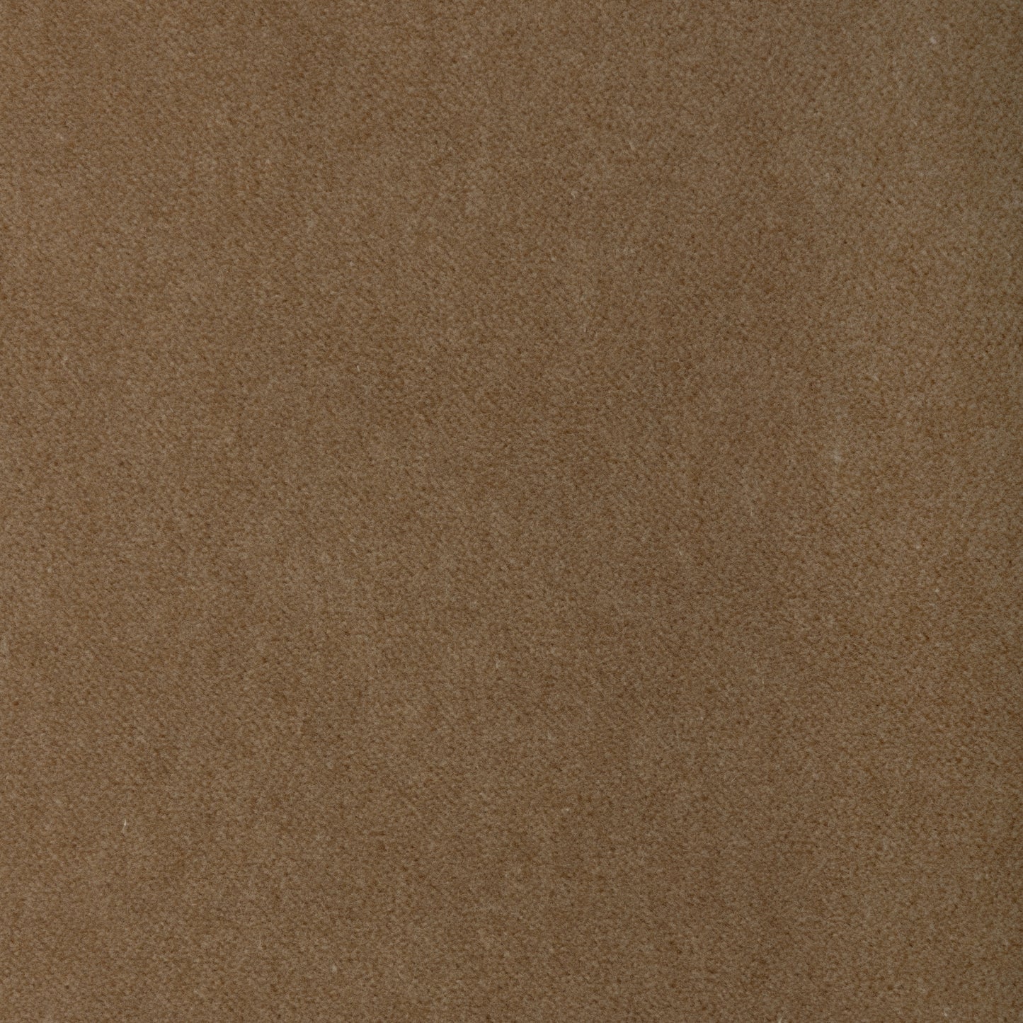 Purchase 37696.16.0 Tempo, Tempo Velvets - Kravet Contract Fabric