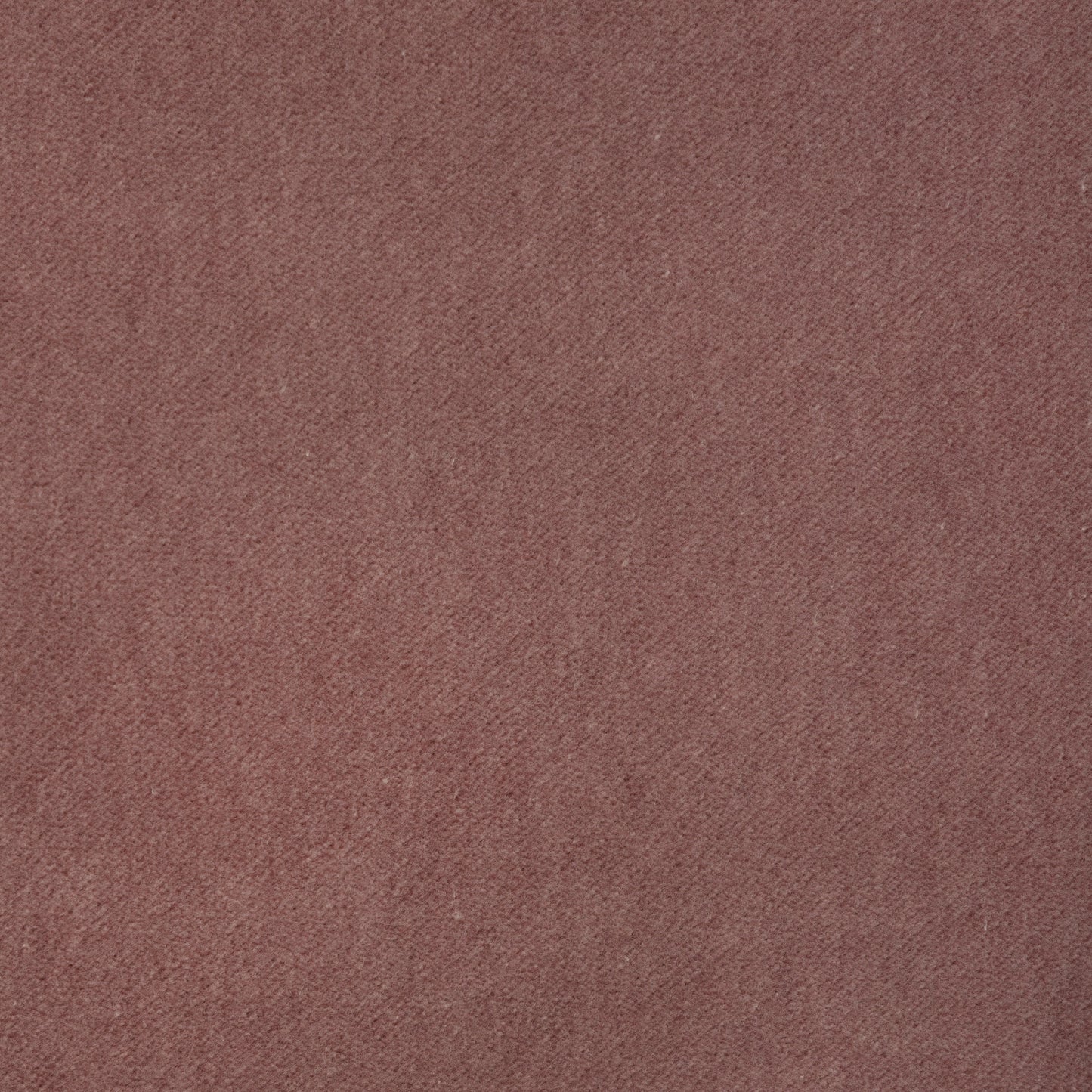 Purchase 37696.17.0 Tempo, Tempo Velvets - Kravet Contract Fabric