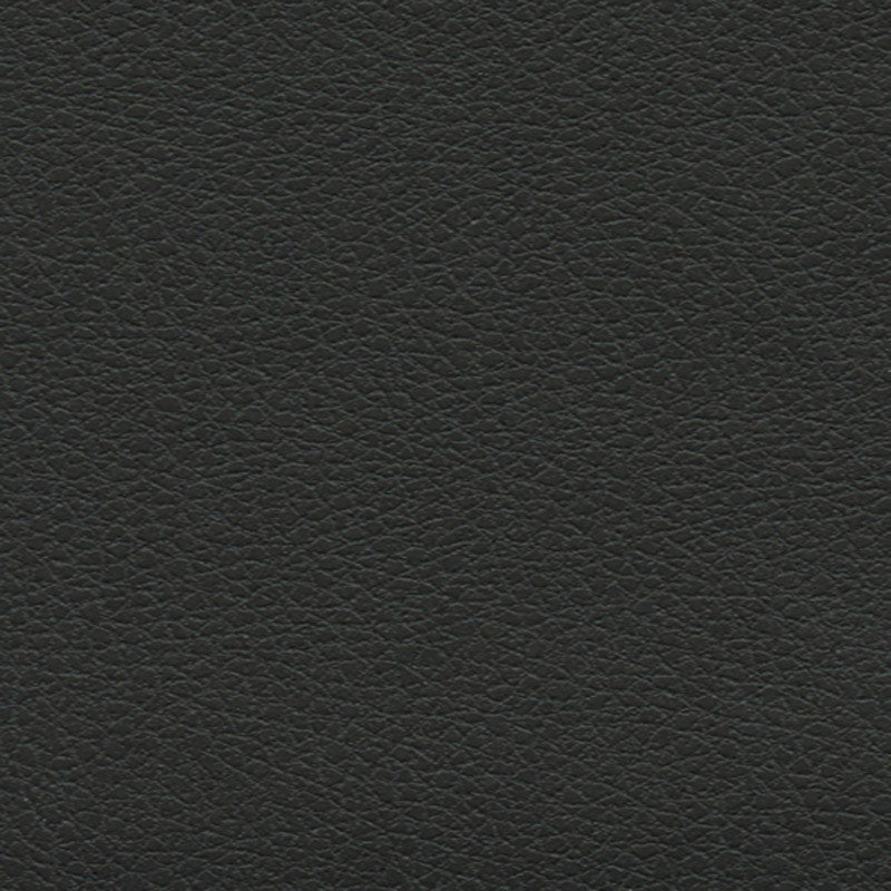 Shop 393by5749 Brisa Soleil Black Onyx by Schumacher Fabric