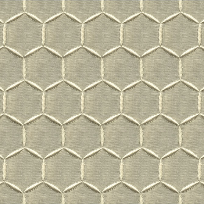 Sample 3970.11.0 Capture Luxury Moonstruck Grey Drapery Novelty Fabric by Kravet Couture