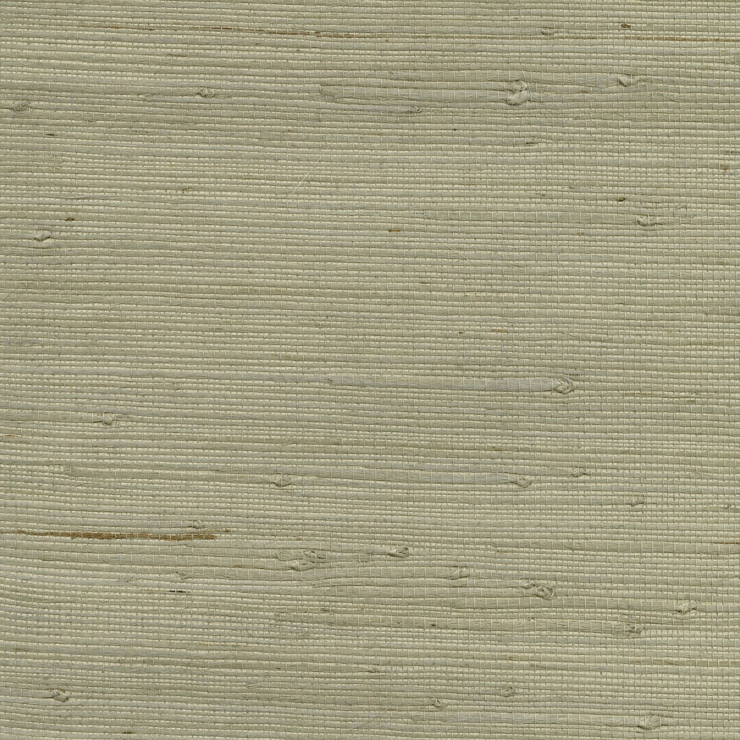 Looking 4018-0015 Grasscloth Portfolio Battan Taupe Grasscloth Grey by Advantage
